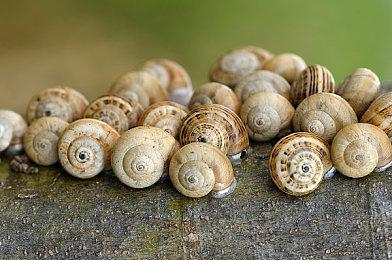 海洋之门联合创始人：目标2050年让1000人定居金星